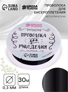 {{photo.Alt || photo.Description || 'Проволока для творчества и  бисероплетения D= 0,3 мм, длина 30 м, цвет черный'}}