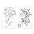 Раскраска с наклейками «Цветы», 12 стр. 2741997
