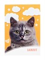 Блокнот А6, 24 листа на скрепке «Котенок», обложка мелованный картон 3554008-4 - фото 419333