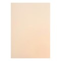 Бумага для пастели А4 20 л папка ГОЗНАК "Холст" 200 г/м² цвет слоновая кость, фактура холст/гладкая 1929673